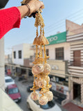 ROSHNI PARANDI