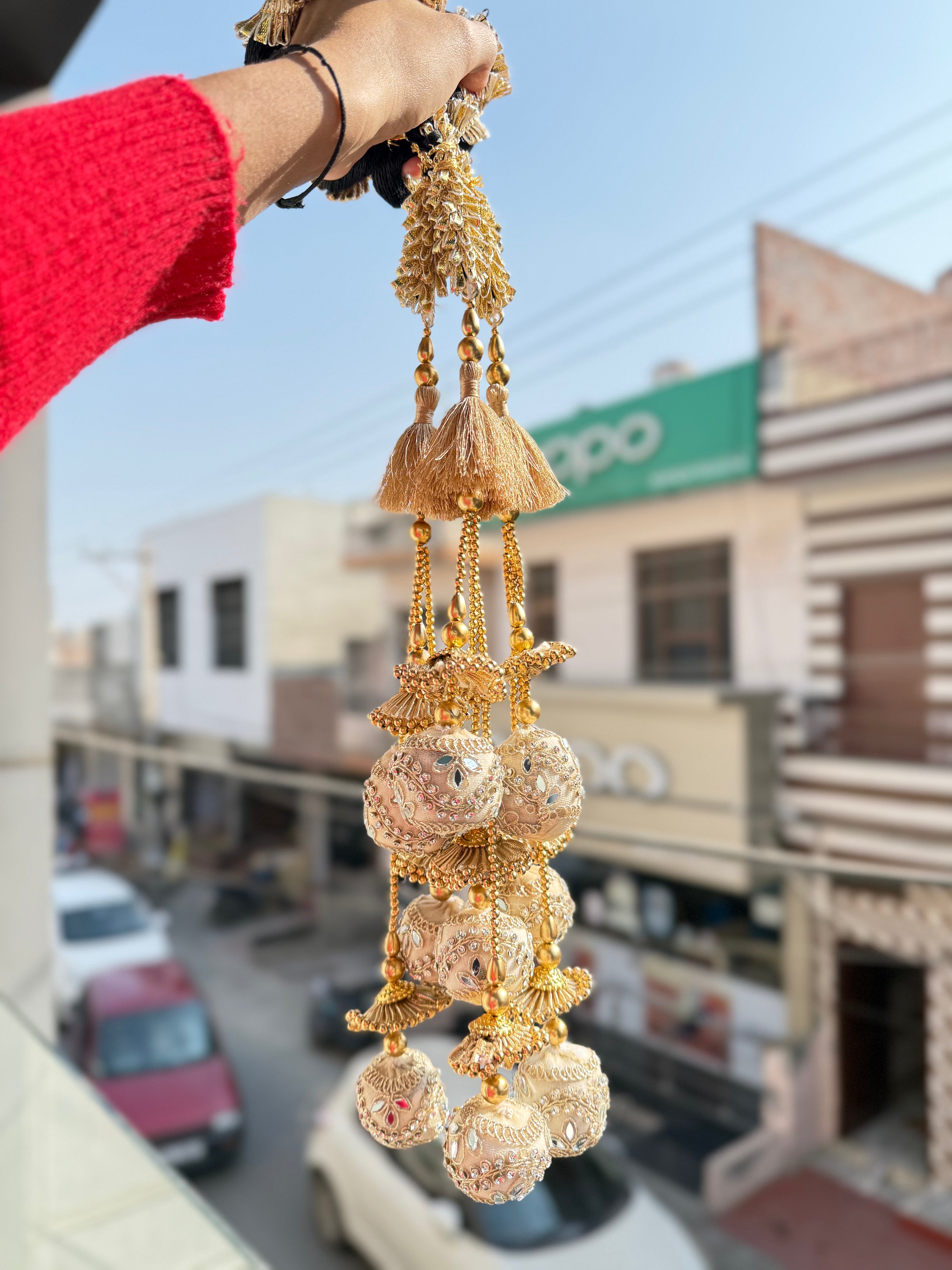 ROSHNI PARANDI