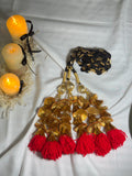 LAL PARI PARANDI